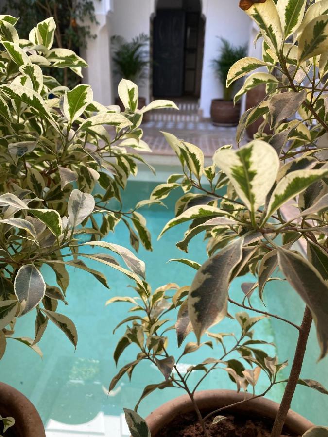 Riad Magellan Yoga And Spa Марракеш Экстерьер фото